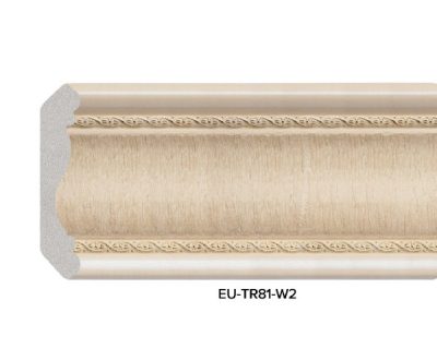 phao chi han quoc EU-TR81-W2 81mm