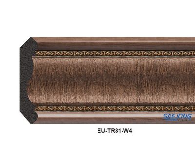 phao chi han quoc EU-TR81-W4 81mm