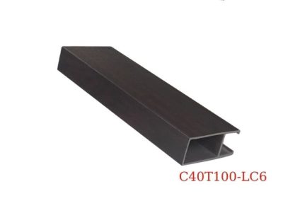 THANH LAM-C40T100-LC6 40x100mm