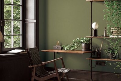 Giấy dán tường đơn sắc 222